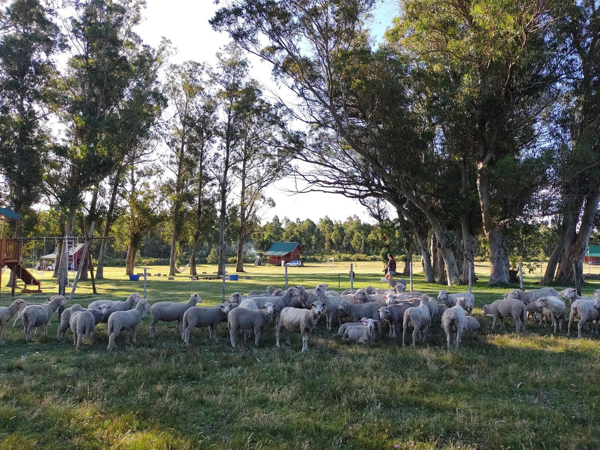 Centro Los Alamos Maldonado Dış mekan fotoğraf